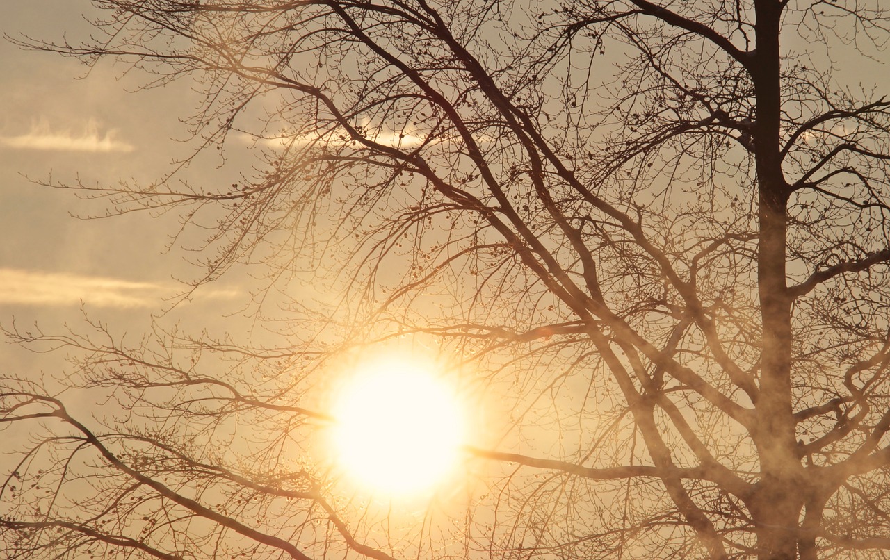 How to Stay Updated with Weather Alerts?